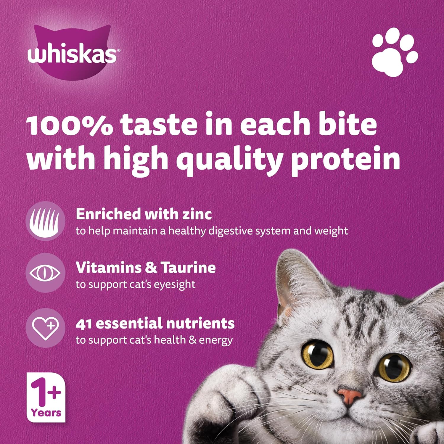 WHISKAS TASTY MINCE BEEF IN GRAVY CAT FOOD