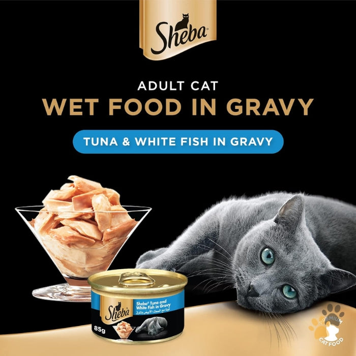 SHEBA TUNA & WHITE FISH IN GRAVY WET CAT FOOD BOX