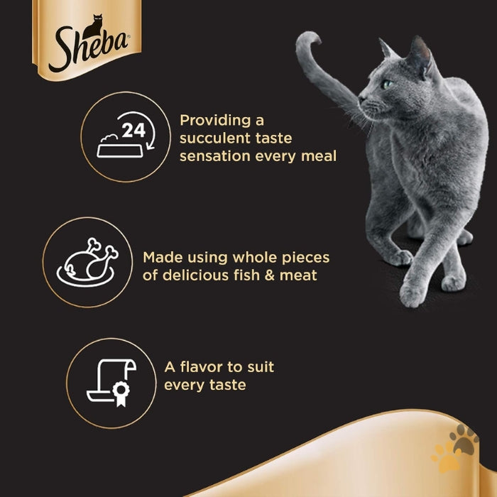 SHEBA TUNA FILLET & PRAWN IN GRAVY WET CAT FOOD