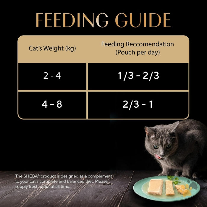 SHEBA FINE KITTEN 2-12 MONTHS CHICKEN PREMIUM LOAF