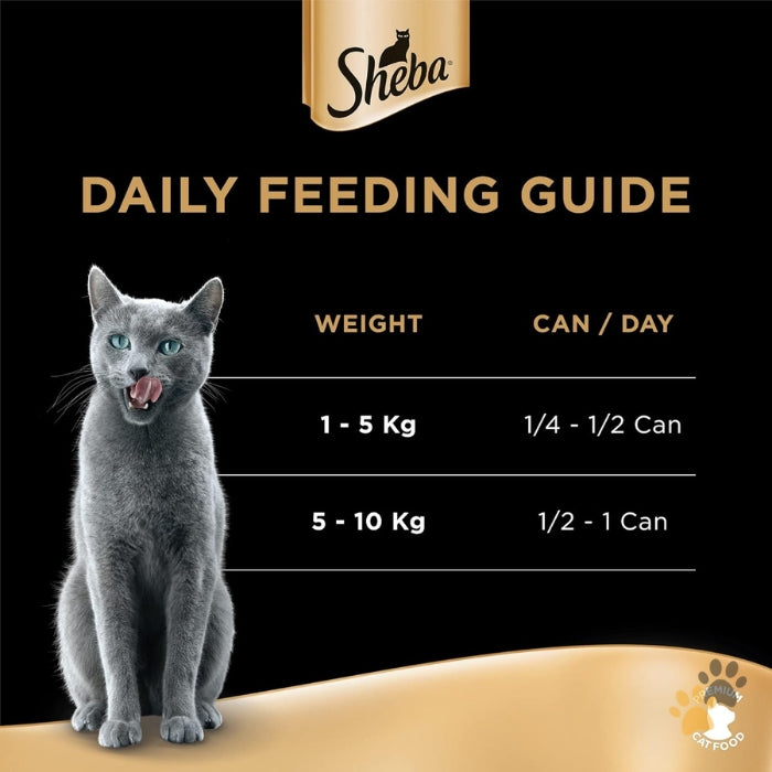 SHEBA SUCCULENT CHICKEN BREAST ADULT WET CAT FOOD
