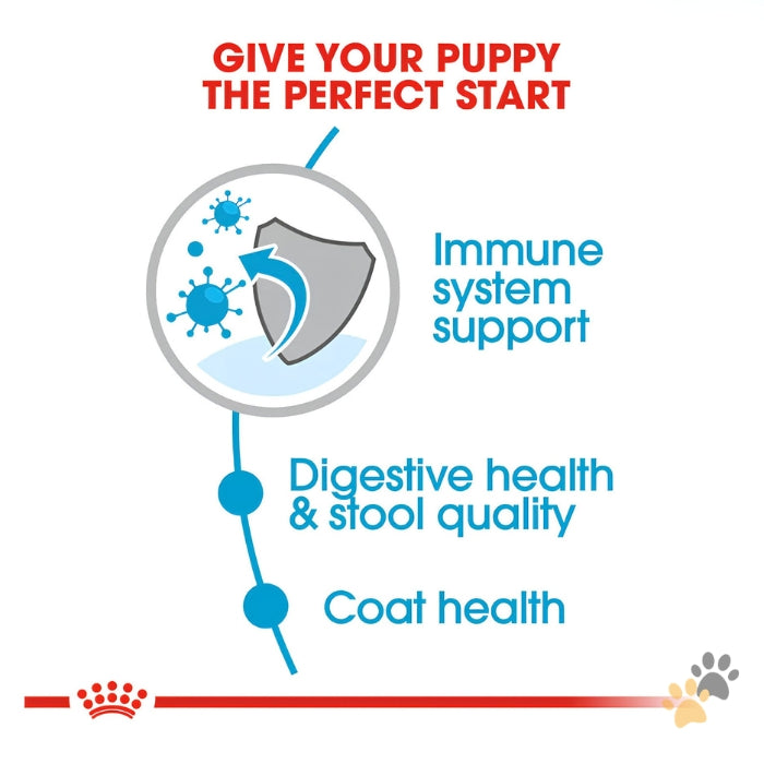 ROYAL CANIN MINI INDOOR PUPPY DRY FOOD