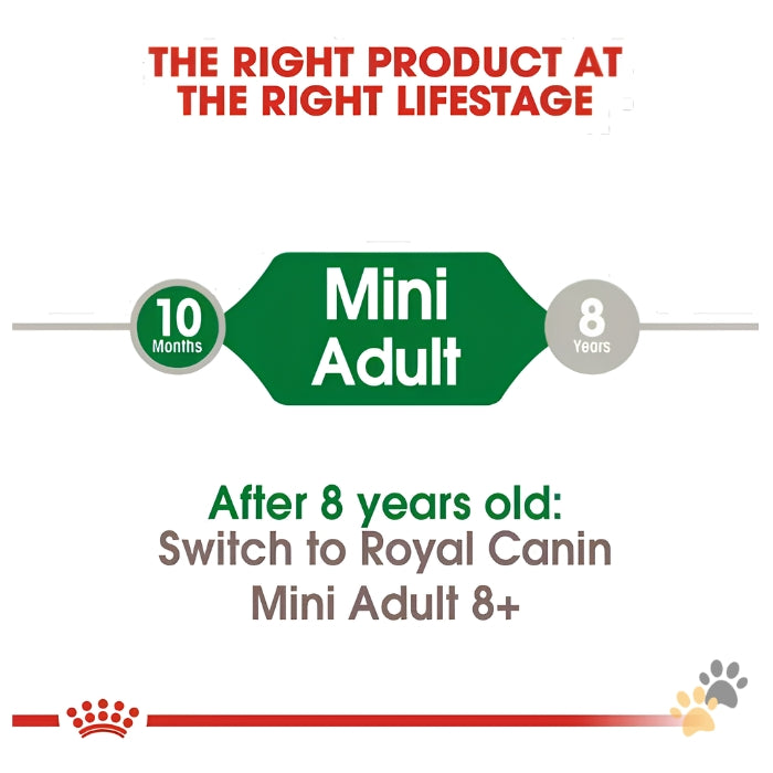 ROYAL CANIN MINI ADULT DRY DOG FOOD