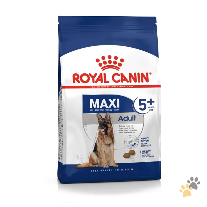 ROYAL CANIN MAXI ADULT 5+ DRY DOG FOOD