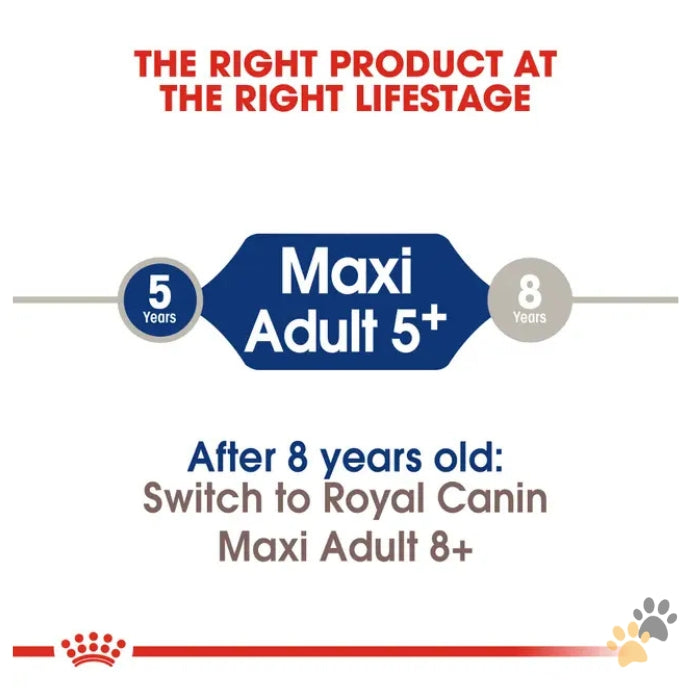 ROYAL CANIN MAXI ADULT 5+ DRY DOG FOOD