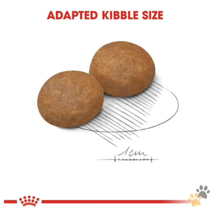 ROYAL CANIN MAXI ADULT 5+ DRY DOG FOOD