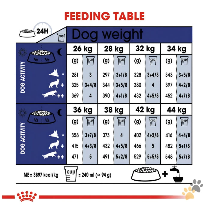 ROYAL CANIN MAXI ADULT 5+ DRY DOG FOOD