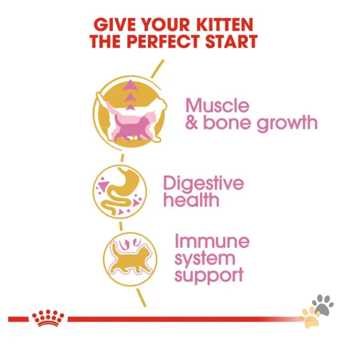 ROYAL CANIN FELINE BREED NUTRITION BRITISH SHORTHAIR DRY KITTEN FOOD