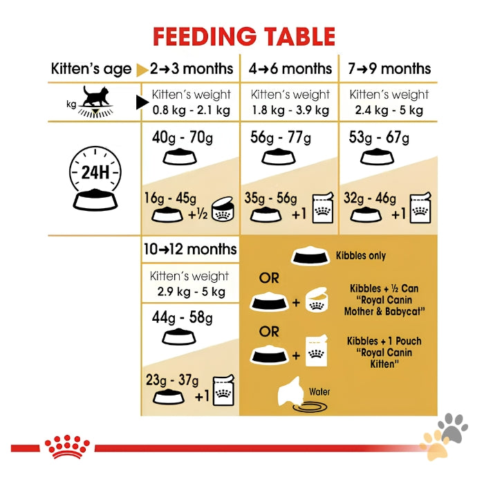 ROYAL CANIN FELINE BREED NUTRITION BRITISH SHORTHAIR DRY KITTEN FOOD