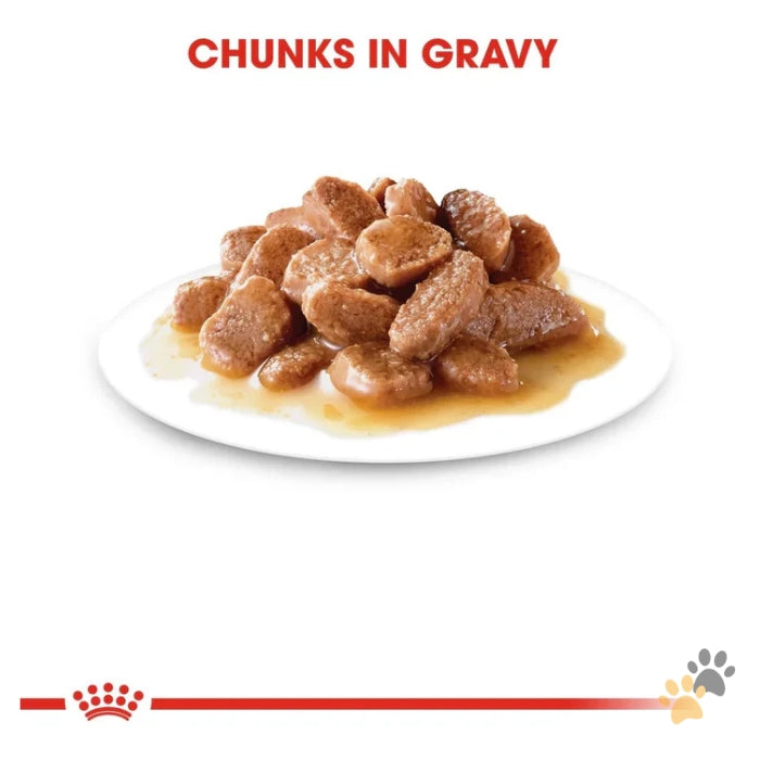 ROYAL CANIN FELINE CARE NUTRITION HAIRBALL GRAVY WET FOOD
