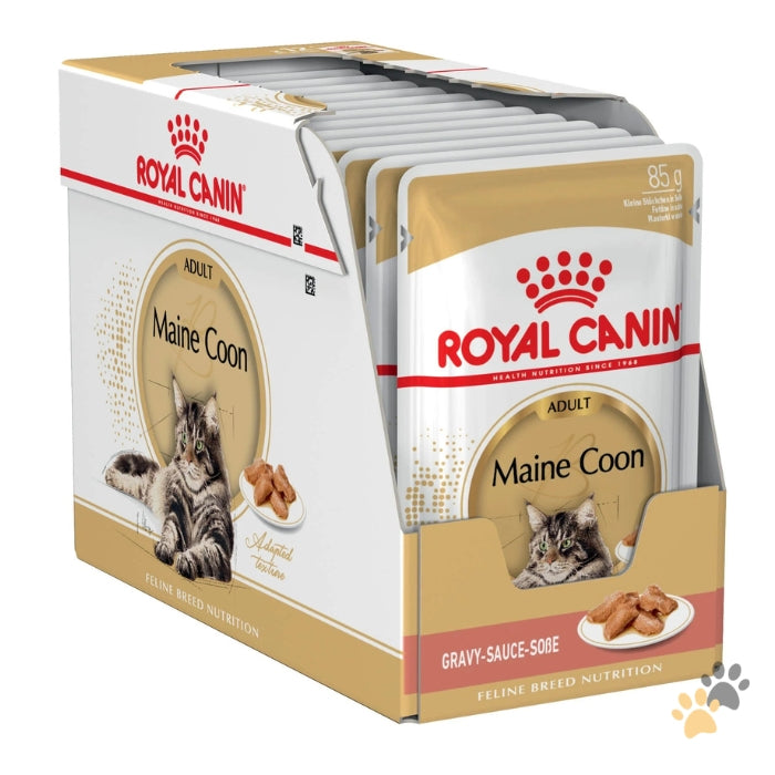 ROYAL CANIN FELINE BREED NUTRITION MAINE COON WET CAT FOOD