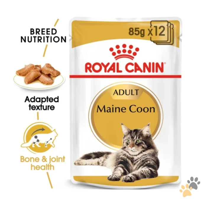 ROYAL CANIN FELINE BREED NUTRITION MAINE COON WET CAT FOOD