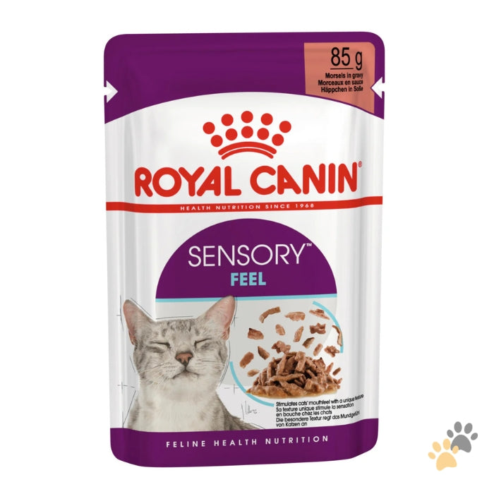 ROYAL CANIN FELINE HEALTH NUTRITION SENSORY FEEL GRAVY WET FOOD