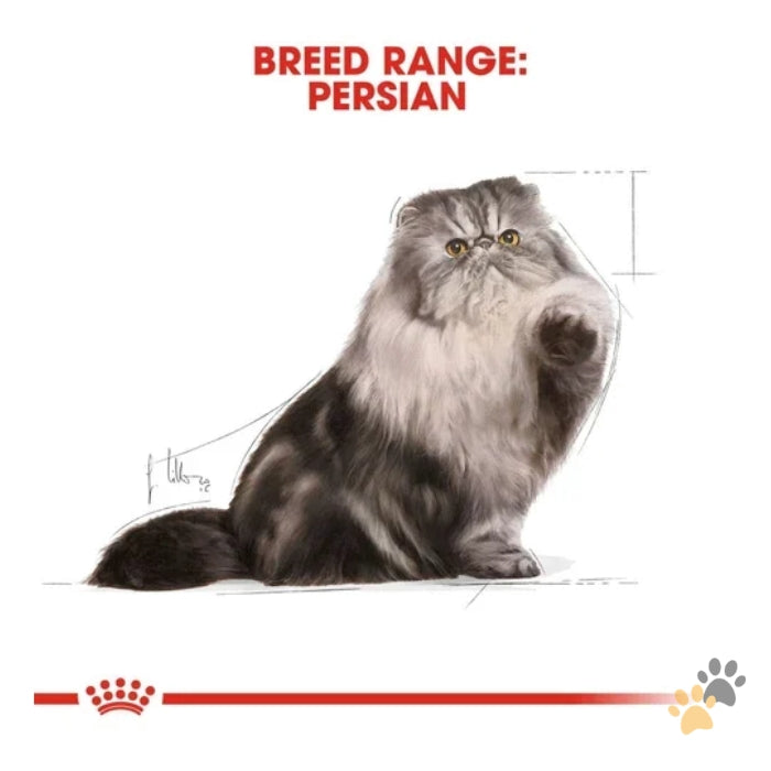 ROYAL CANIN FELINE CARE NUTRITION PERSIAN WET CAT FOOD