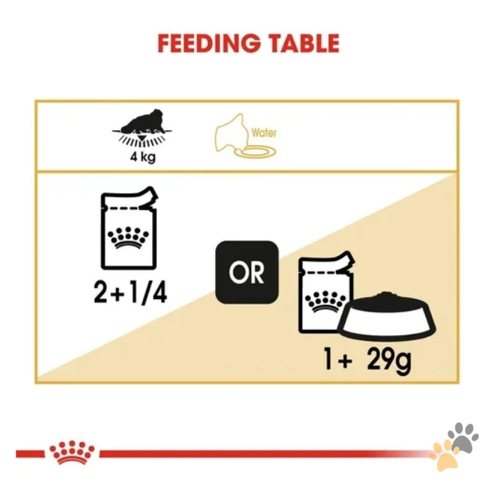 ROYAL CANIN FELINE CARE NUTRITION PERSIAN WET CAT FOOD