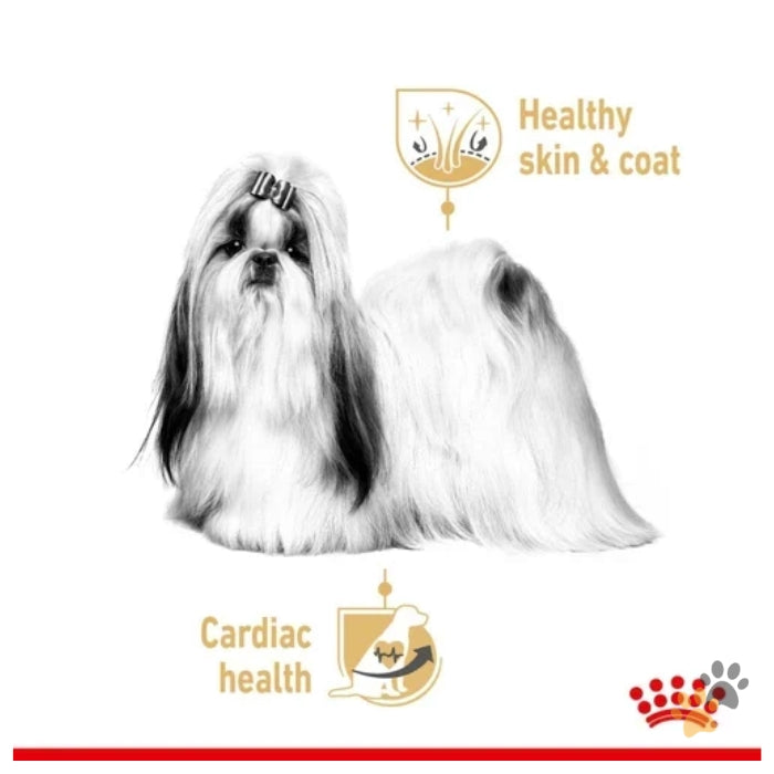 ROYAL CANIN SHIH TZU LOAF ADULT WET FOOD