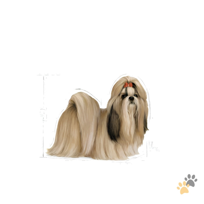 ROYAL CANIN SHIH TZU LOAF ADULT WET FOOD