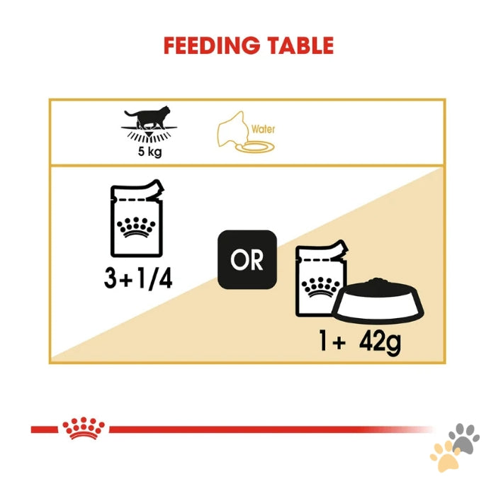 ROYAL CANIN FELINE BREED NUTRITION BRITISH SHORTHAIR WET CAT FOOD