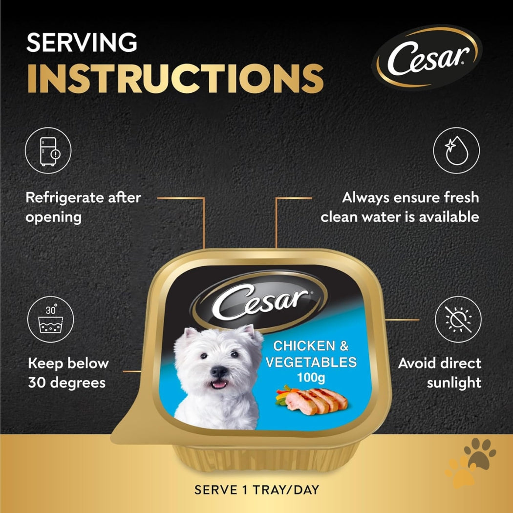 CESAR CHICKEN & VEGETABLES ADULT WET DOG FOOD