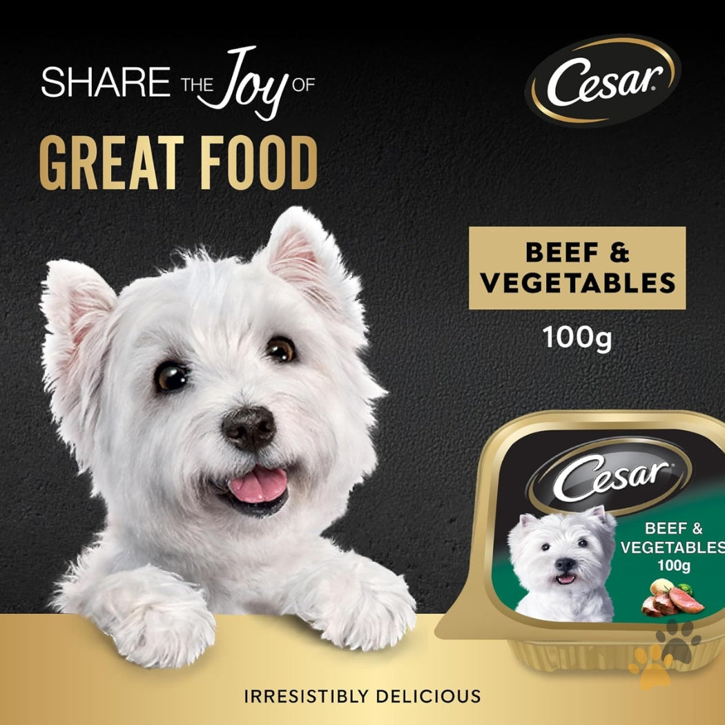 CESAR BEEF & VEGETABLES ADULT WET DOG FOOD