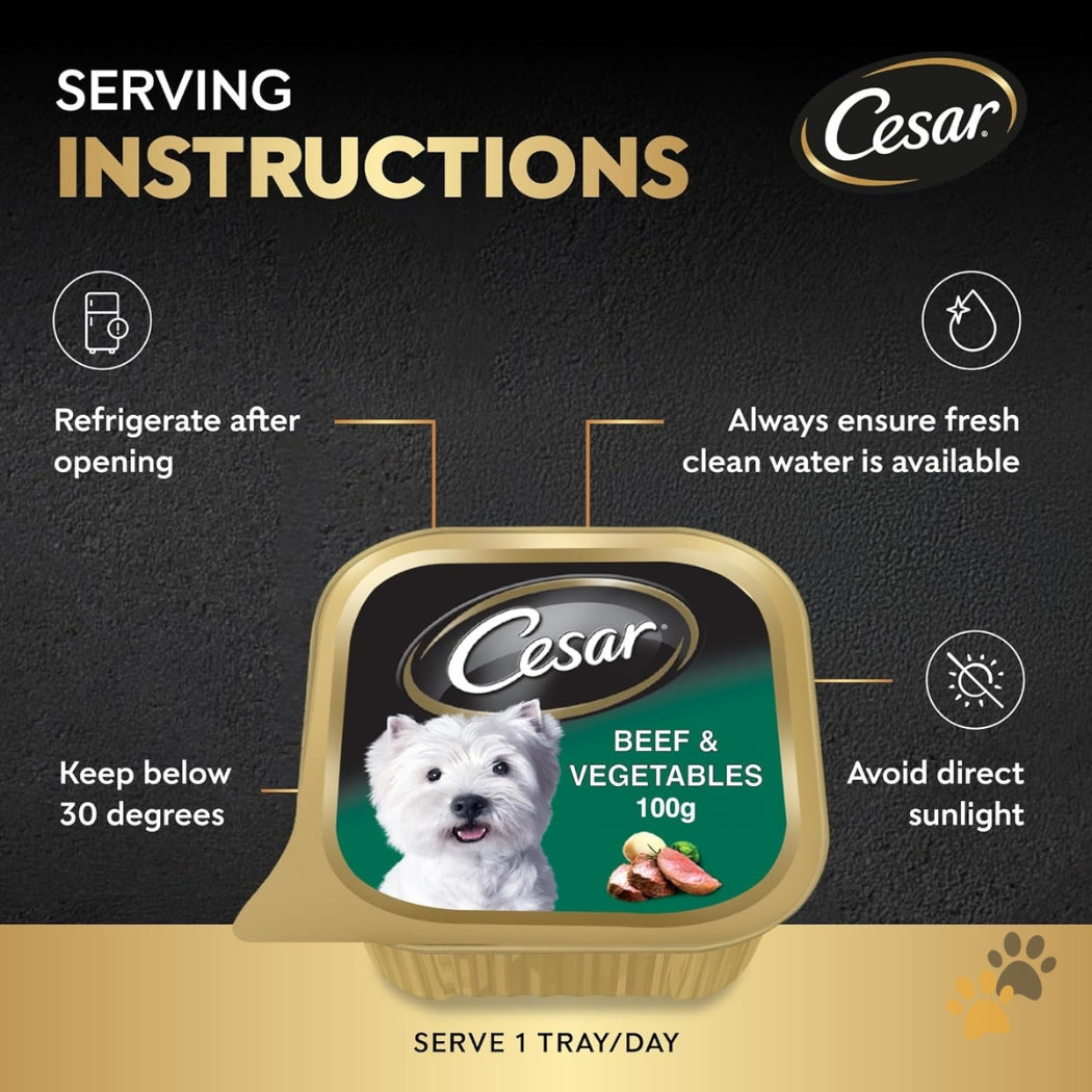 CESAR BEEF & VEGETABLES ADULT WET DOG FOOD