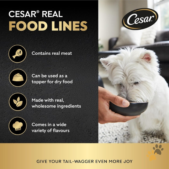 CESAR BEEF ADULT WET DOG FOOD