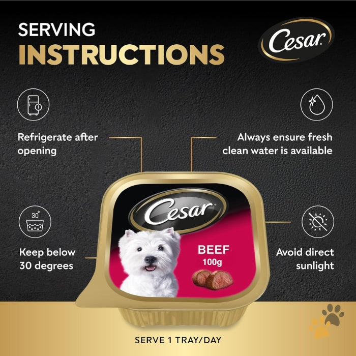 CESAR BEEF ADULT WET DOG FOOD