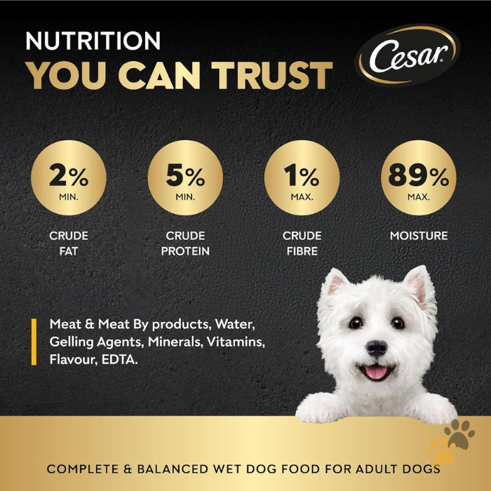 CESAR CHICKEN ADULT WET DOG FOOD