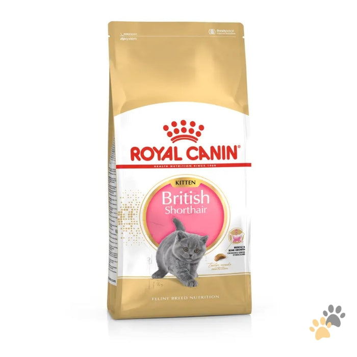 ROYAL CANIN FELINE BREED NUTRITION BRITISH SHORTHAIR DRY KITTEN FOOD