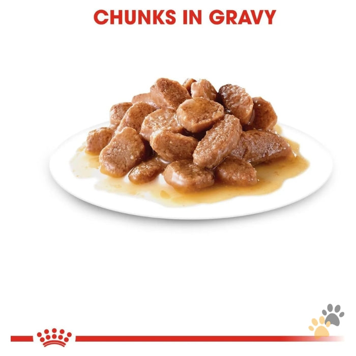 ROYAL CANIN FELINE CARE NUTRITION HAIR & SKIN GRAVY (INTENSE BEAUTY)