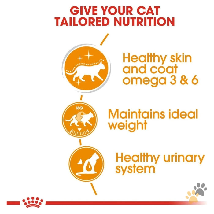 ROYAL CANIN FELINE CARE NUTRITION HAIR & SKIN GRAVY (INTENSE BEAUTY)