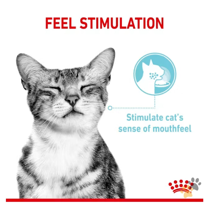 ROYAL CANIN FELINE HEALTH NUTRITION SENSORY FEEL GRAVY WET FOOD