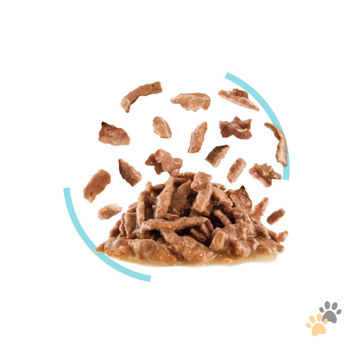 ROYAL CANIN FELINE HEALTH NUTRITION SENSORY FEEL GRAVY WET FOOD