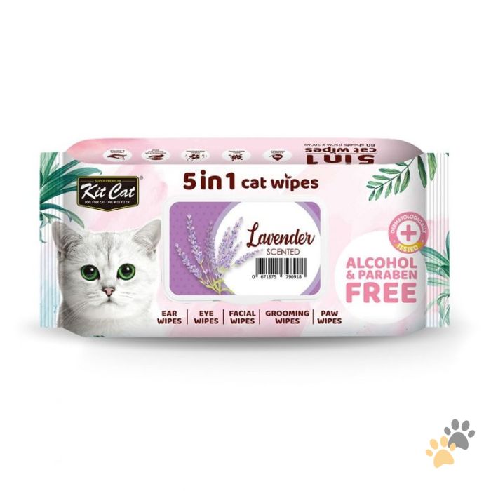 KIT CAT 5 IN 1 CAT WIPES