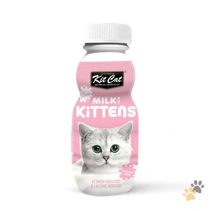 KIT CAT MILK FOR KITTEN