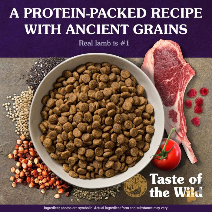 TASTE OF THE WILD ANCIENT MOUNTAIN CANINE RECIPE WITH ROASTED LAMB DRY DOG FOOD