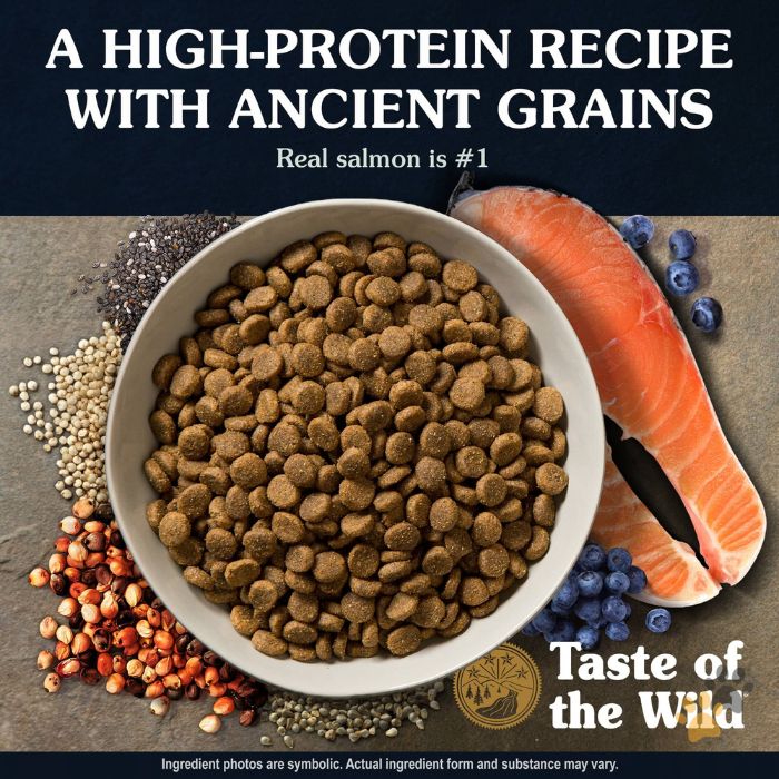 TASTE OF THE WILD ANCIENT STREAM CANINE RECIPE WITH SMOKE-FLAVORED SALMON DRY DOG FOOD