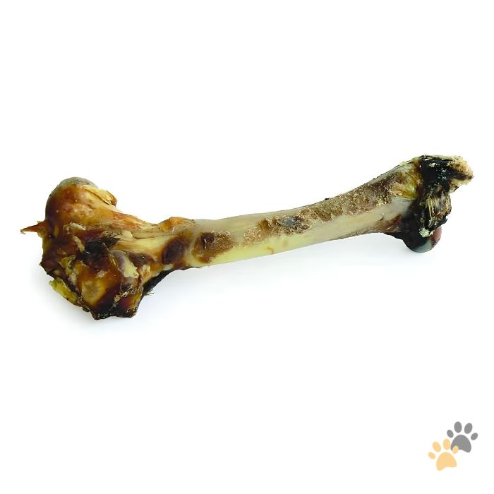 ZEAL WHOLE VENSION SHANKS FULL BONE