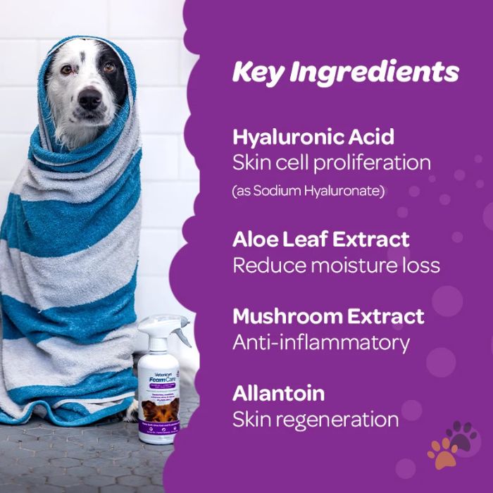 VETERICYN FOAMCARE SPRAY-ON PET SHAMPOO & CONDITIONER