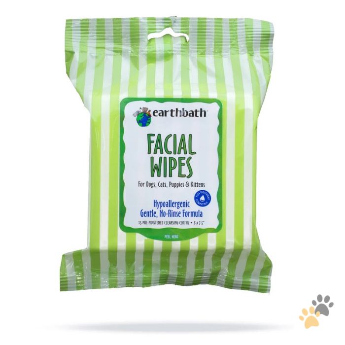 EARTHBATH HYPO-ALLERGENIC CUCUMBER MELON FACIAL WIPES