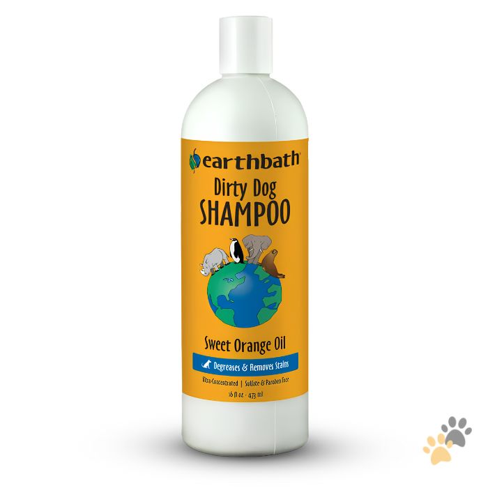 EARTHBATH DIRTY DOG SHAMPOO