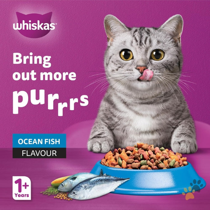 WHISKAS OCEAN FISH DRY CAT FOOD