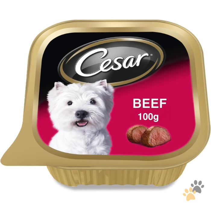 CESAR BEEF ADULT WET DOG FOOD