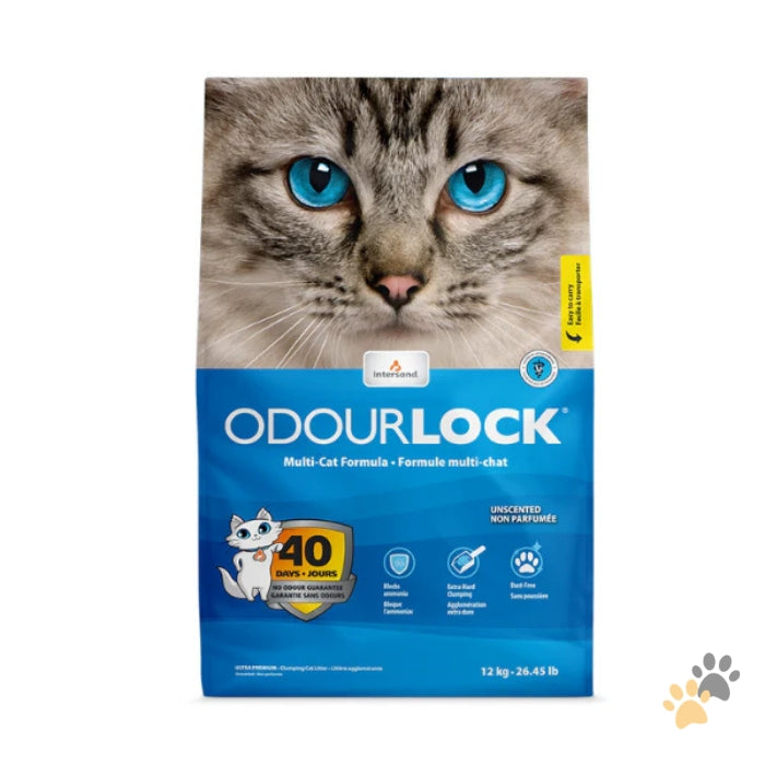INTERSAND ODOURLOCK CLUMPING CAT LITTER