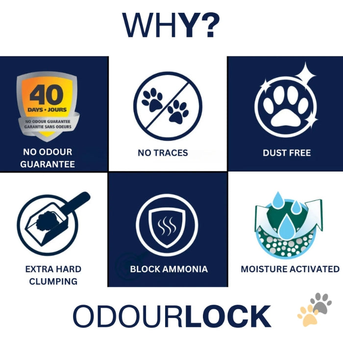 INTERSAND ODOURLOCK CLUMPING CAT LITTER