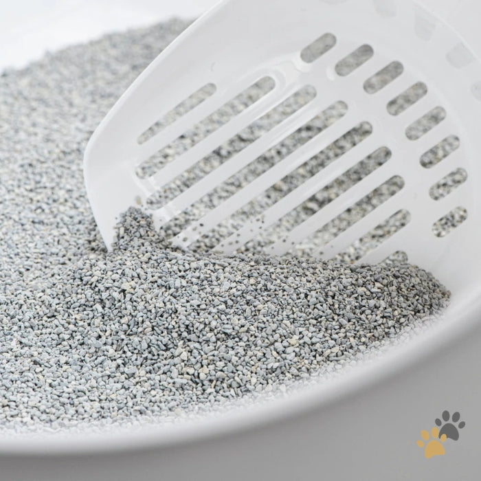 INTERSAND ODOURLOCK CLUMPING CAT LITTER