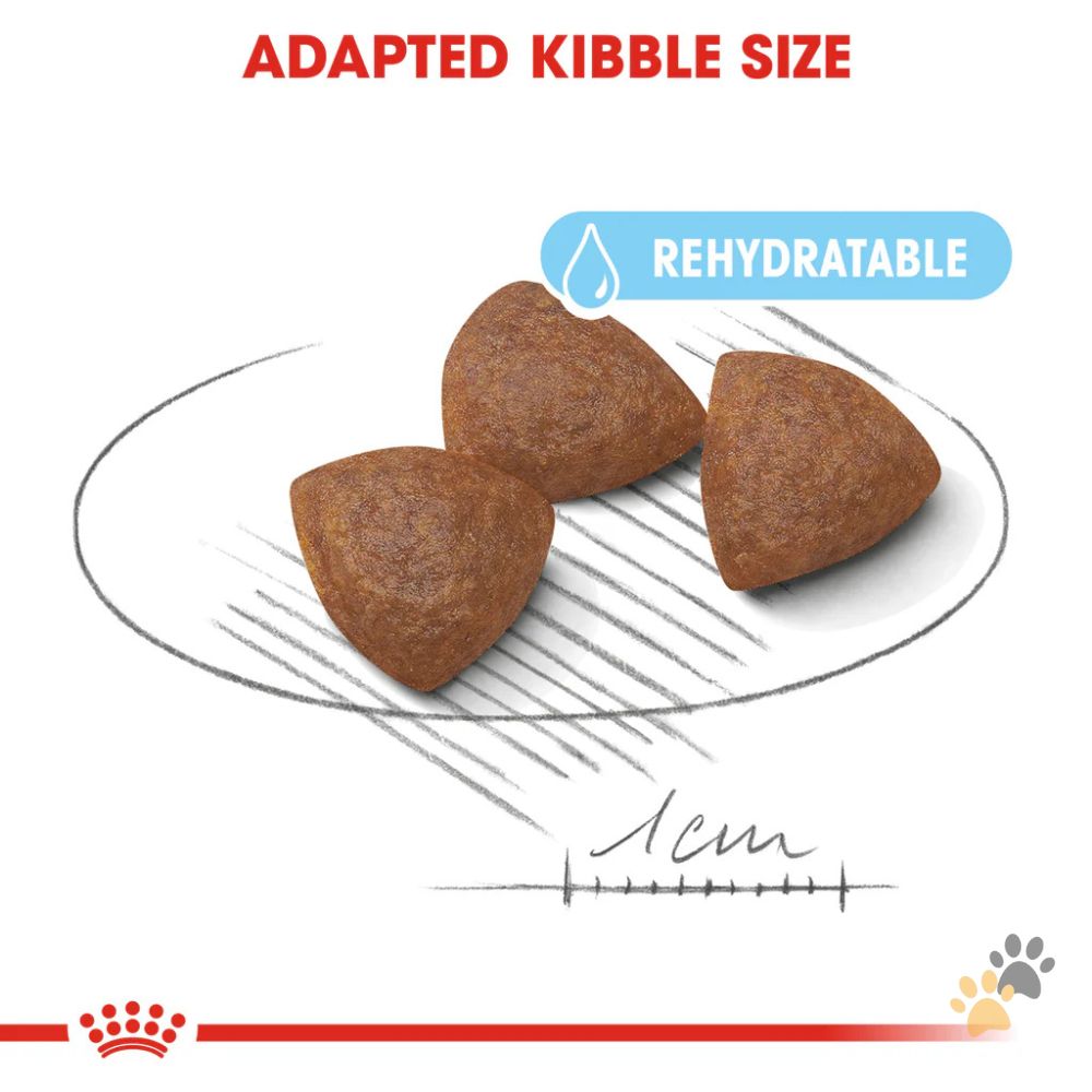 ROYAL CANIN SIZE HEALTH NUTRITION MEDIUM STARTER