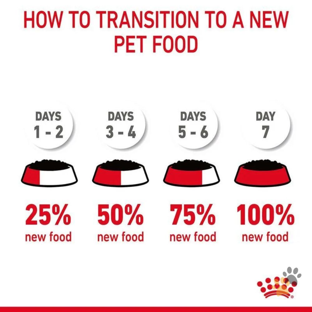 ROYAL CANIN FELINE CARE NUTRITION HAIR & SKIN JELLY (INTENSE BEAUTY)