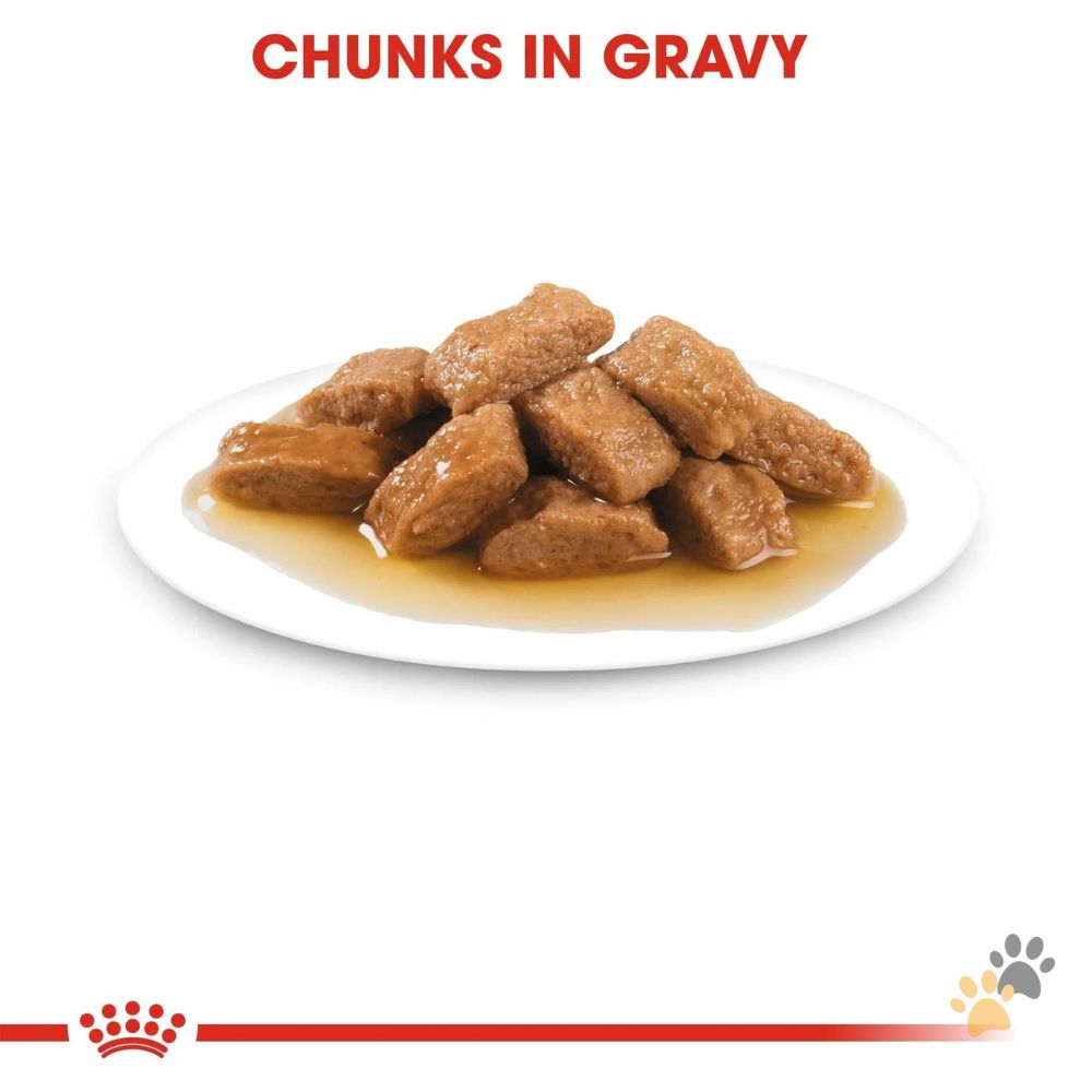 ROYAL CANIN MEDIUM ADULT GRAVY DOG WET FOOD - 10 X 140G