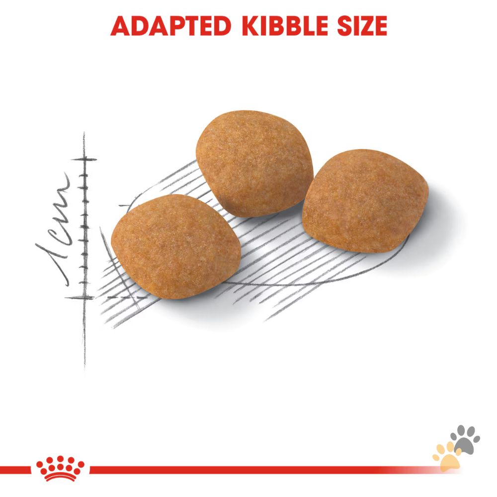 ROYAL CANIN FELINE NUTRITION EXIGENT PROTEIN DRY CAT FOOD